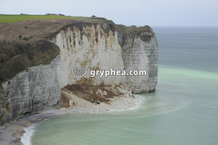 Erosion de la falaise en Pays de Caux (Normandie) - gryphea.org
